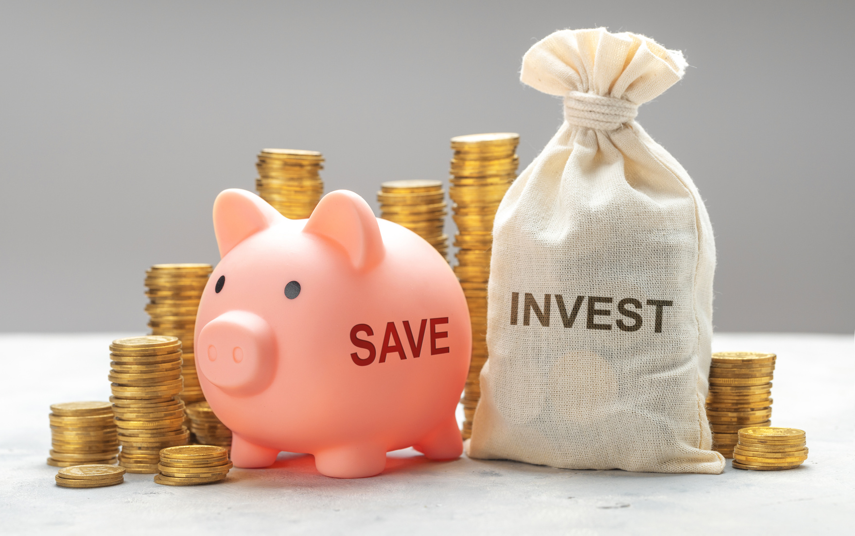 Investment or Savings. Piggy Bank for Savings and Money Bag for Investments